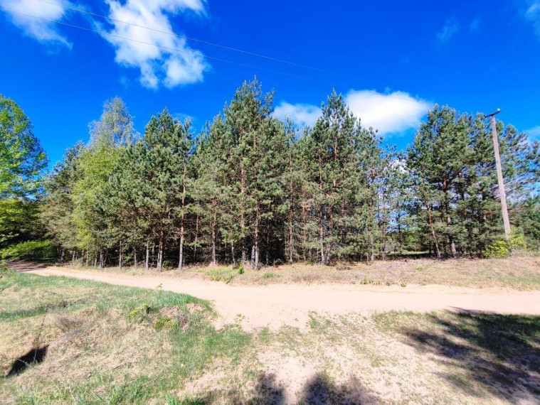 Parduodamas kitos paskirties sklypas Azagio g., Vilkanastrų k., Druskininkų sav., 45.02 a ploto 9