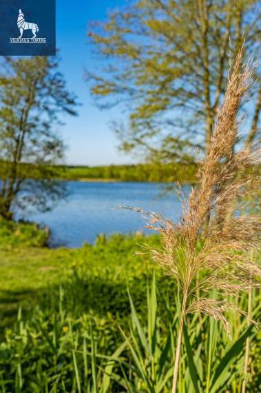 Parduodamas  sklypas Trakų g., Petkėniškių k., Trakų r. sav., 200.03 a ploto 8