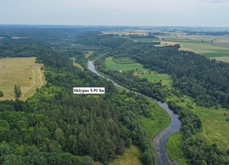 Parduodamas  sklypas Pašilių k., Jurbarko r. sav., 591 a ploto