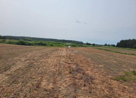 Parduodamas  sklypas Rokų k., Klaipėdos r. sav., 85 a ploto