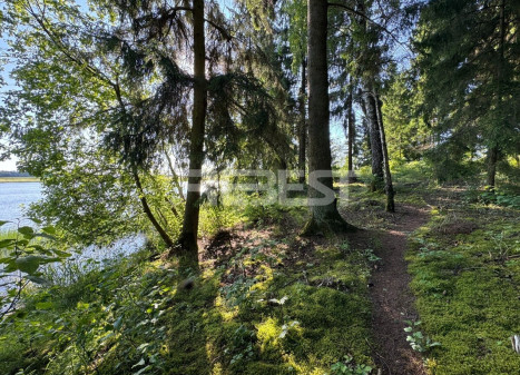 Parduodamas sklypas Jakštaičiukų k., Šiaulių r. sav., 144 a ploto Parduodamas sklypas Jakštaičiukų k., Šiaulių r. sav., 144 a ploto