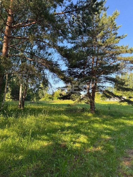 Parduodamas  sklypas Jakštaičiukų k., Šiaulių r. sav., 144 a ploto 12