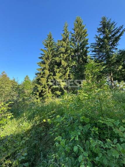Parduodamas  sklypas Jakštaičiukų k., Šiaulių r. sav., 144 a ploto 20