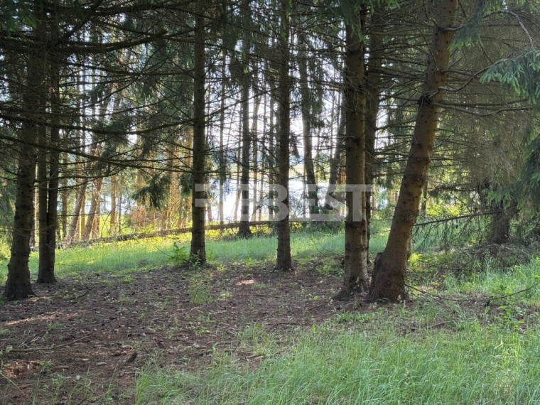 Parduodamas  sklypas Jakštaičiukų k., Šiaulių r. sav., 144 a ploto 24