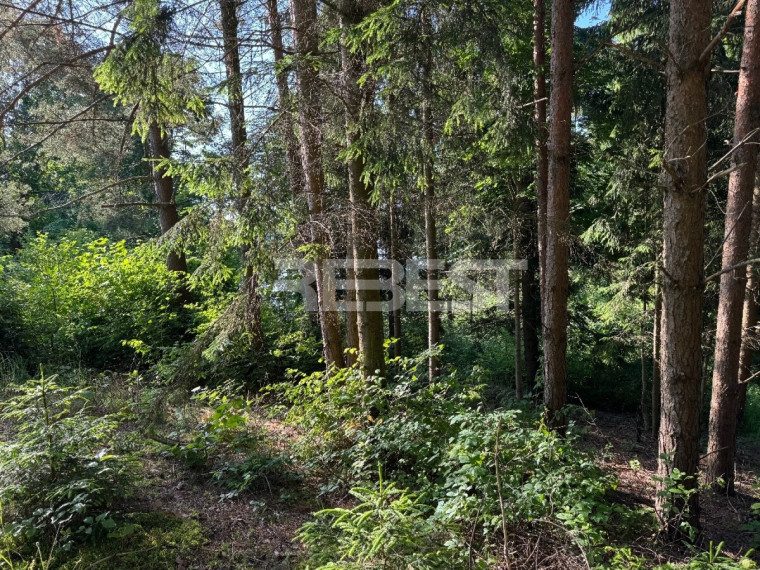 Parduodamas  sklypas Jakštaičiukų k., Šiaulių r. sav., 144 a ploto 28