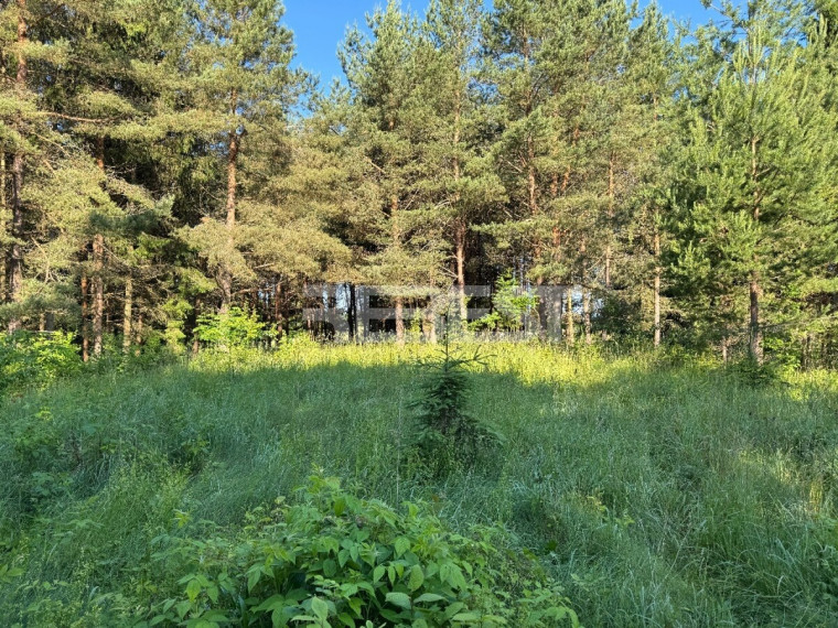 Parduodamas  sklypas Jakštaičiukų k., Šiaulių r. sav., 144 a ploto 29