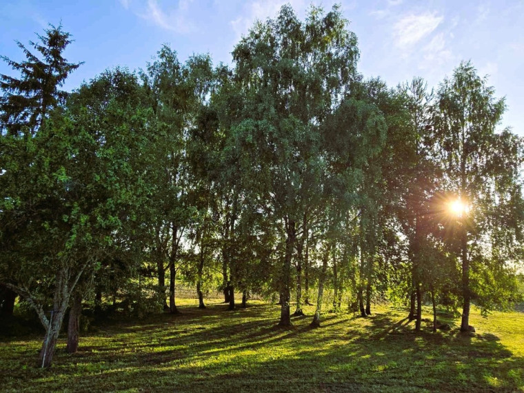 Parduodamas namas Kaišiadorių r. sav., Kalvių k., Lapainios, 39.49 m2 ploto, 1 aukštai 21
