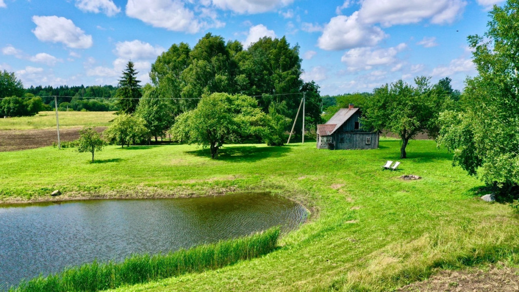 Parduodamas namas Kaišiadorių r. sav., Kalvių k., Lapainios, 39.49 m2 ploto, 1 aukštai 2