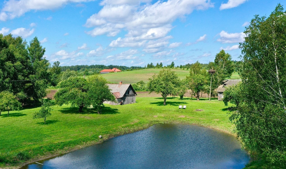 Parduodamas namas Kaišiadorių r. sav., Kalvių k., Lapainios, 39.49 m2 ploto, 1 aukštai 1