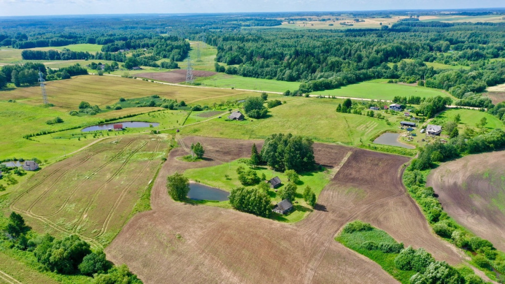 Parduodamas namas Kaišiadorių r. sav., Kalvių k., Lapainios, 39.49 m2 ploto, 1 aukštai 7