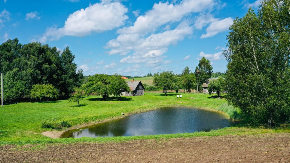 Parduodamas namas Kaišiadorių r. sav., Kalvių k., Lapainios, 39.49 m2 ploto, 1 aukštai 10