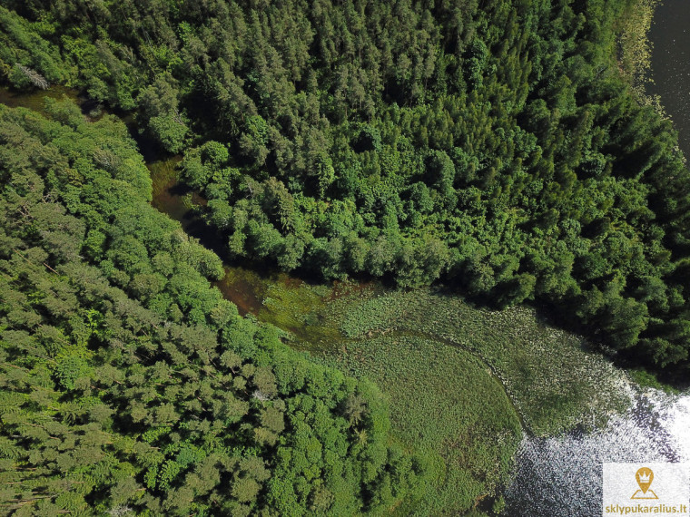 Parduodamas  sklypas Rutovčiznos vs., Švenčionių r. sav., 618 a ploto 8