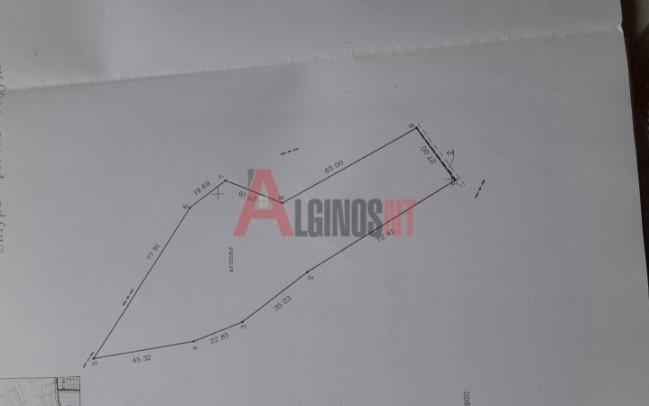 Parduodamas namas Kliošių k., Klaipėdos r. sav., 173.00 m² ploto 6 kambariai 4