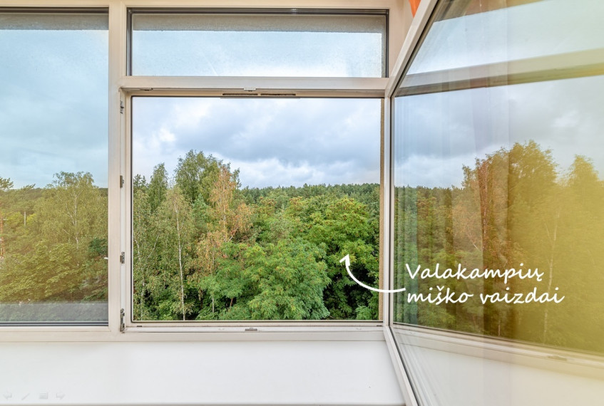 Nuomojamas butas O. Milašiaus g., Antakalnis, Vilniaus m., Vilniaus m. sav., 50 m2 ploto, 2 kambariai 11