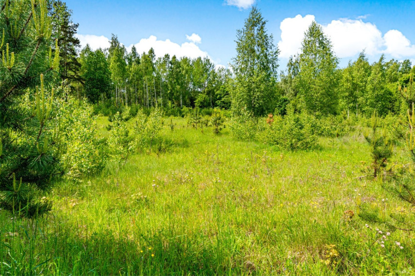 Parduodamas kitos paskirties sklypas Sližiškių k., Molėtų r. sav., 40 a ploto 7