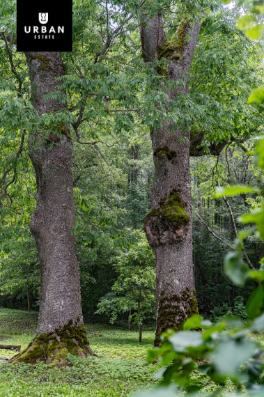 Parduodamas namas Labanoro g., Paisetės I k., 240.67 kv.m ploto 14