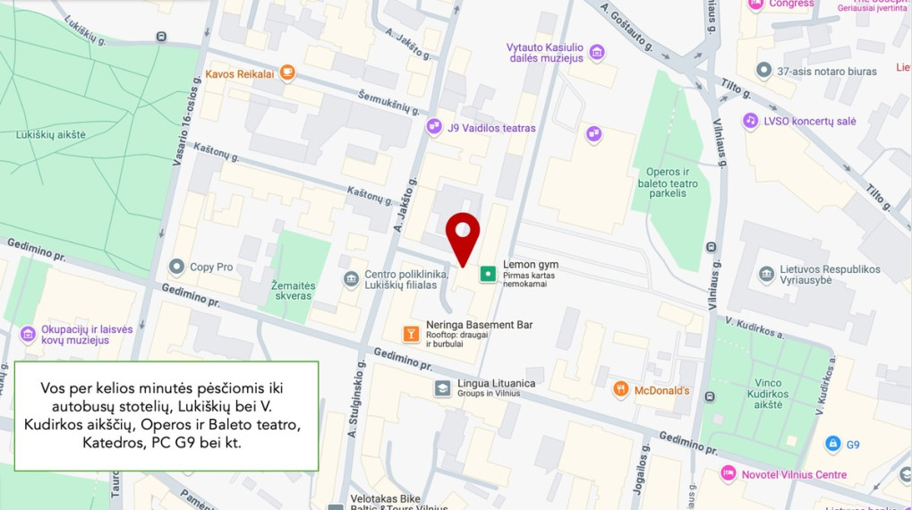 Nuomojamos administracinės, kitos paskirties, paslaugų, prekybos, sandėliavimo patalpos A. Vienuolio g., Naujamiestis, Vilniaus m., Vilniaus m. sav., 30.6 m2 ploto 22