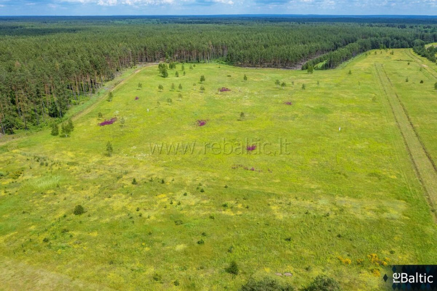 Parduodamas  sklypas Liepynų k., Trakų r. sav., 100 a ploto 18