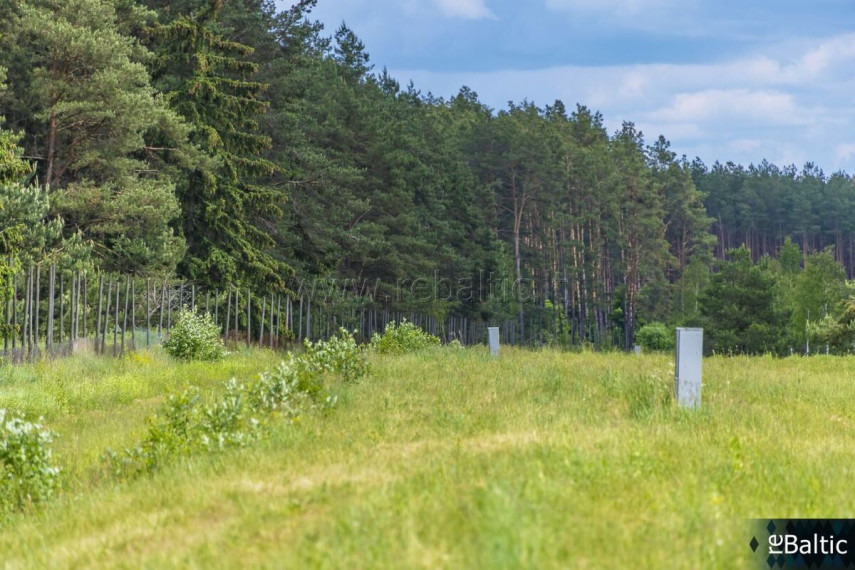 Parduodamas  sklypas Liepynų k., Trakų r. sav., 50 a ploto 9