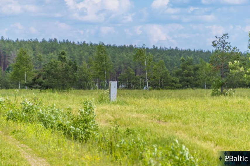 Parduodamas  sklypas Liepynų k., Trakų r. sav., 50 a ploto 10