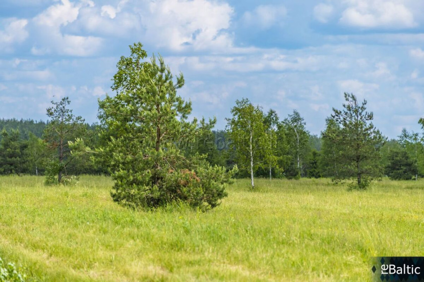 Parduodamas  sklypas Liepynų k., Trakų r. sav., 50 a ploto 12
