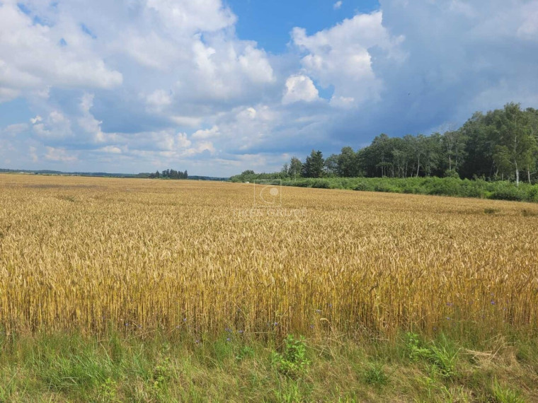 Parduodamas  sklypas Šlapšilės k., Klaipėdos r. sav., 20 a ploto 3