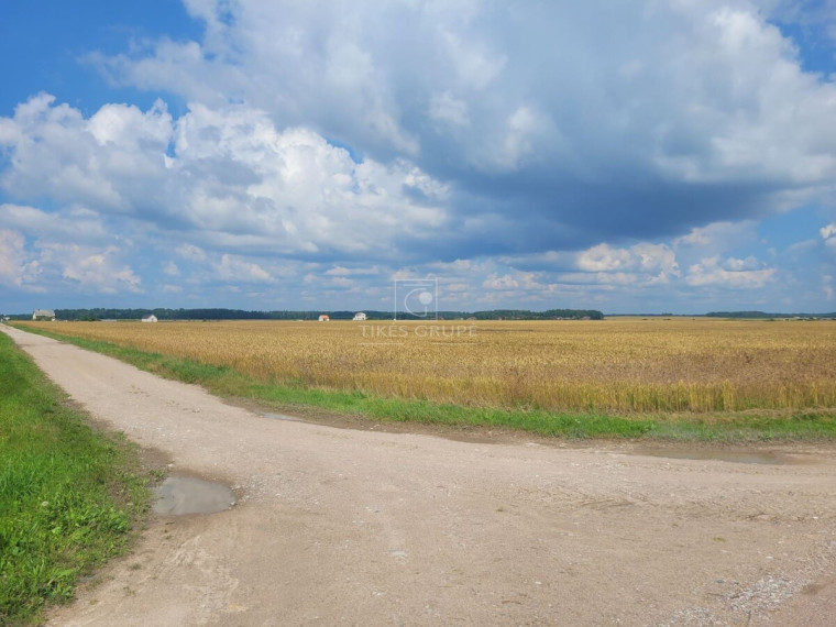 Parduodamas  sklypas Šlapšilės k., Klaipėdos r. sav., 20 a ploto 4