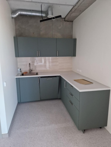 Nuomojamos gamybinės, sandėliavimo patalpos Žalčio g., Domeikavos k., Kauno r. sav., 2216 m2 ploto 19
