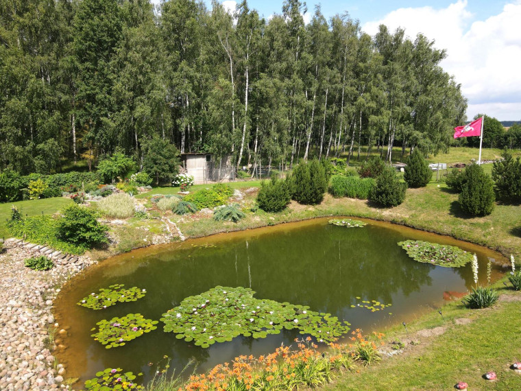 Parduodamas sklypas Bitaičių k., Pakruojo r. sav., 1315.88 a ploto 13
