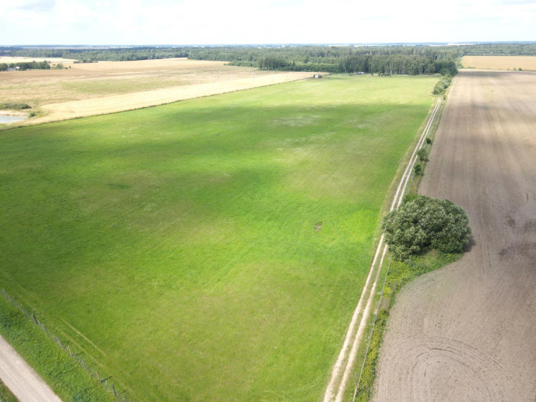 Parduodamas sklypas Bitaičių k., Pakruojo r. sav., 1315.88 a ploto 21