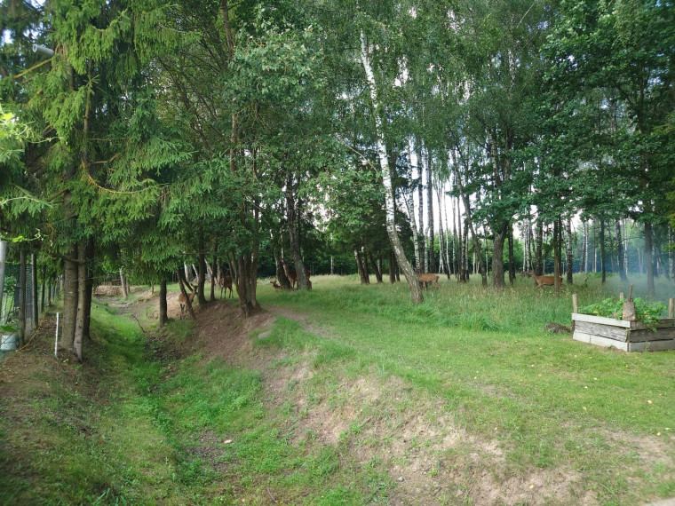 Parduodamas sklypas Bitaičių k., Pakruojo r. sav., 1315.88 a ploto 23