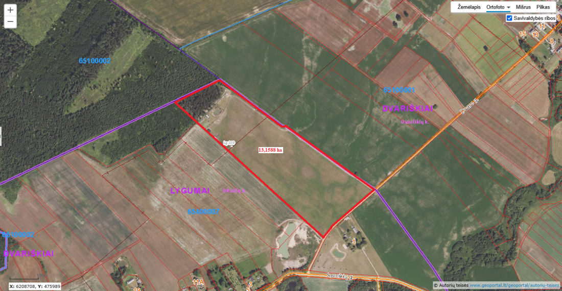 Parduodamas sklypas Bitaičių k., Pakruojo r. sav., 1315.88 a ploto 29