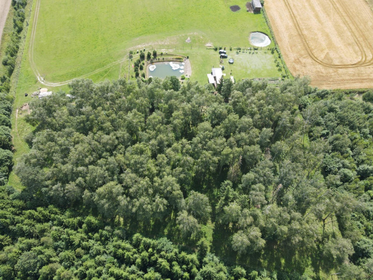 Parduodamas sklypas Bitaičių k., Pakruojo r. sav., 1315.88 a ploto 8