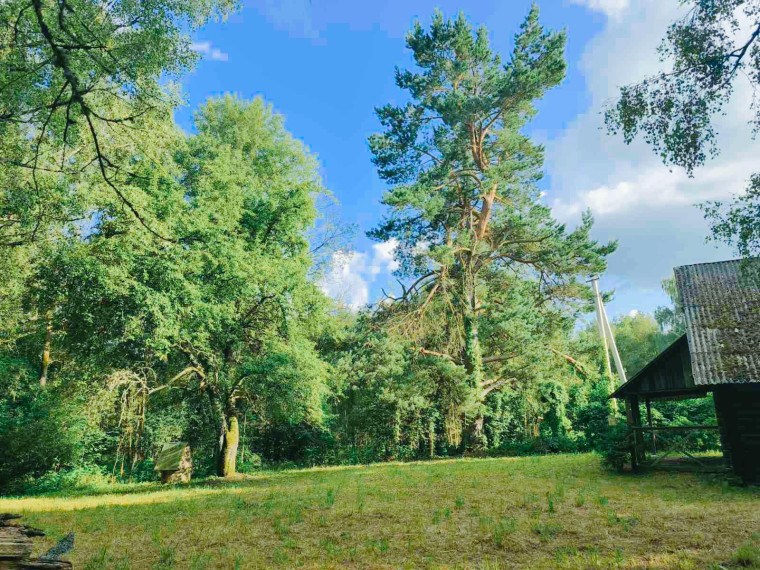Parduodamas namas Gireišių k., Utenos r. sav., 91 m² ploto 3 kambariai 12