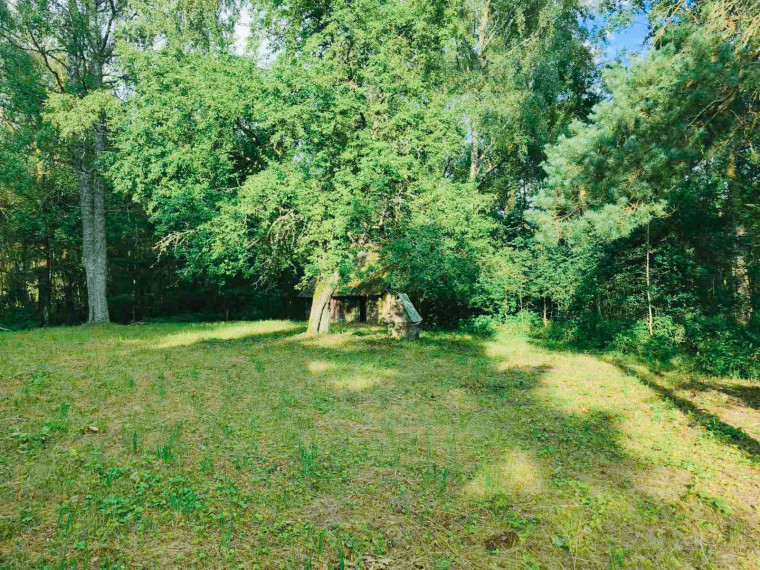 Parduodamas namas Gireišių k., Utenos r. sav., 91 m² ploto 3 kambariai 13