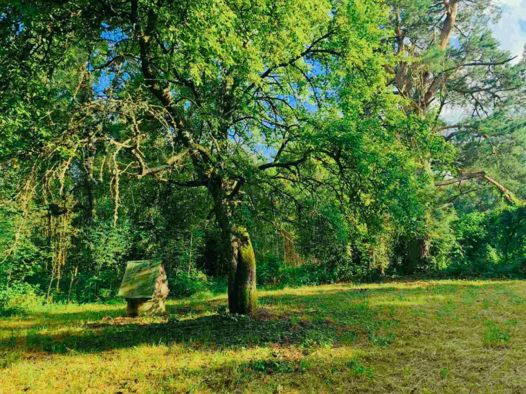 Parduodamas namas Gireišių k., Utenos r. sav., 91 m² ploto 3 kambariai 14