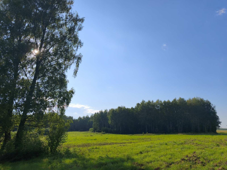 Parduodamas namas Gireišių k., Utenos r. sav., 91 m² ploto 3 kambariai 15