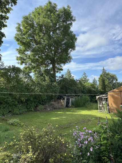 Parduodamas namas Kapų g., Linkuvos m., Pakruojo r. sav., 62.77 m² ploto 3 kambariai 11