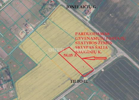 Parduodamas namų valdos paskirties sklypas Tilto g., Sauginių k., Šiaulių r. sav., 58.05 a ploto Parduodamas namų valdos paskirties sklypas Tilto g., Sauginių k., Šiaulių r. sav., 58.05 a ploto