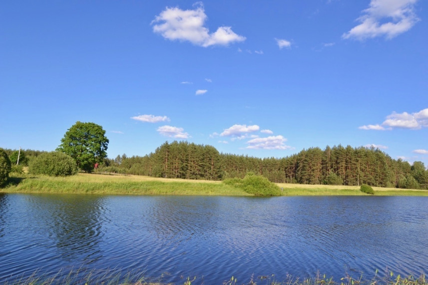 Parduodama žemė 2,54 ha Pirčiupių k., Varėnos r. 5