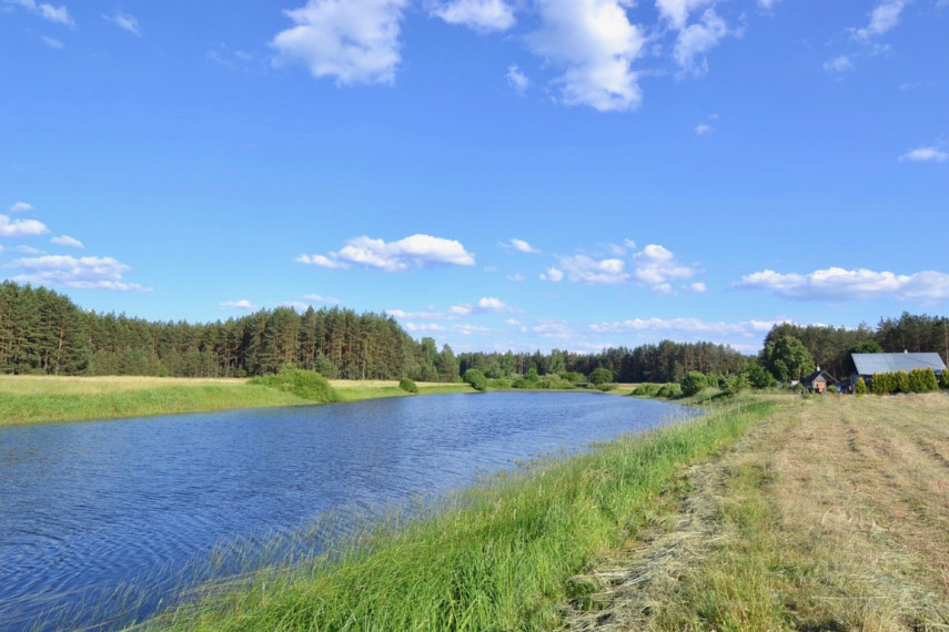 Parduodama žemė 2,54 ha Pirčiupių k., Varėnos r. 6
