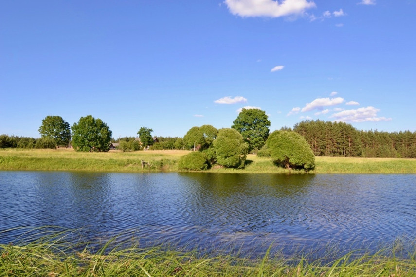 Parduodama žemė 2,54 ha Pirčiupių k., Varėnos r. 8