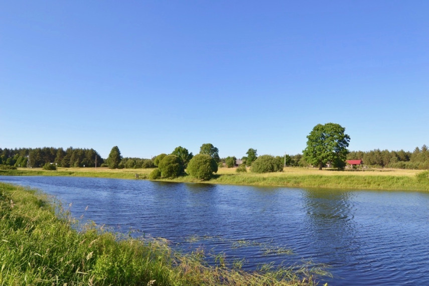 Parduodama žemė 2,54 ha Pirčiupių k., Varėnos r. 7