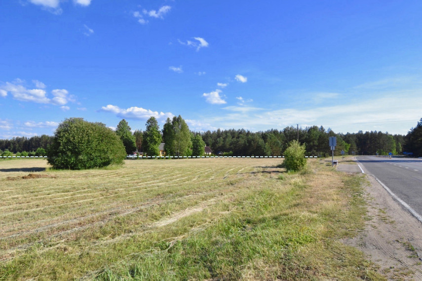 Parduodama žemė 2,54 ha Pirčiupių k., Varėnos r. 11