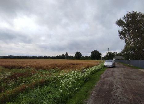 Parduodamas sklypas Dvaro g., Pinigėlių I k., Panevėžio r. sav., 26.77 a ploto