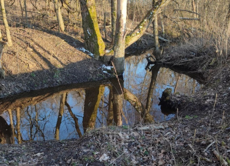 Parduodamas  sklypas Mačionių k., Anykščių r. sav., 295 a ploto