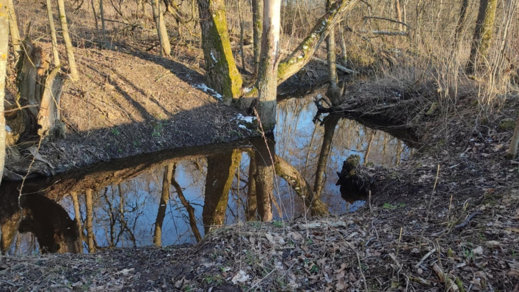 Parduodamas  sklypas Mačionių k., Anykščių r. sav., 295 a ploto 1