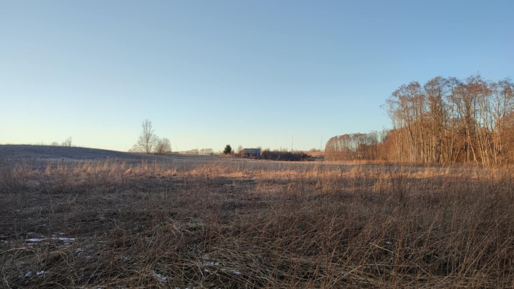 Parduodamas  sklypas Mačionių k., Anykščių r. sav., 295 a ploto 2