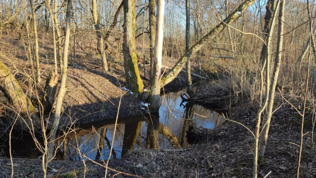 Parduodamas  sklypas Mačionių k., Anykščių r. sav., 295 a ploto 5