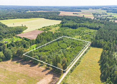 Parduodamas sklypas Juodžių k., 169 a ploto